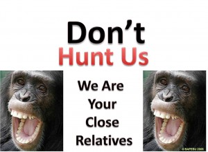 Awareness Campaign for the Protection of Endangered Great Apes Population